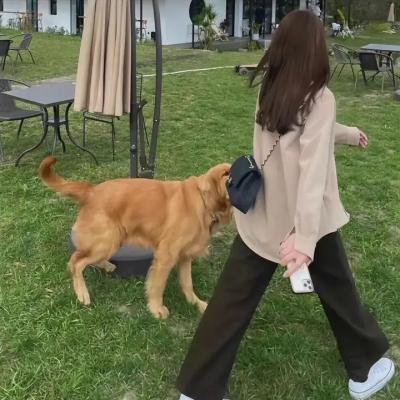 黑帮教母